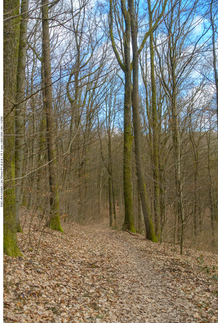 Endlich wieder bergab ;-) 