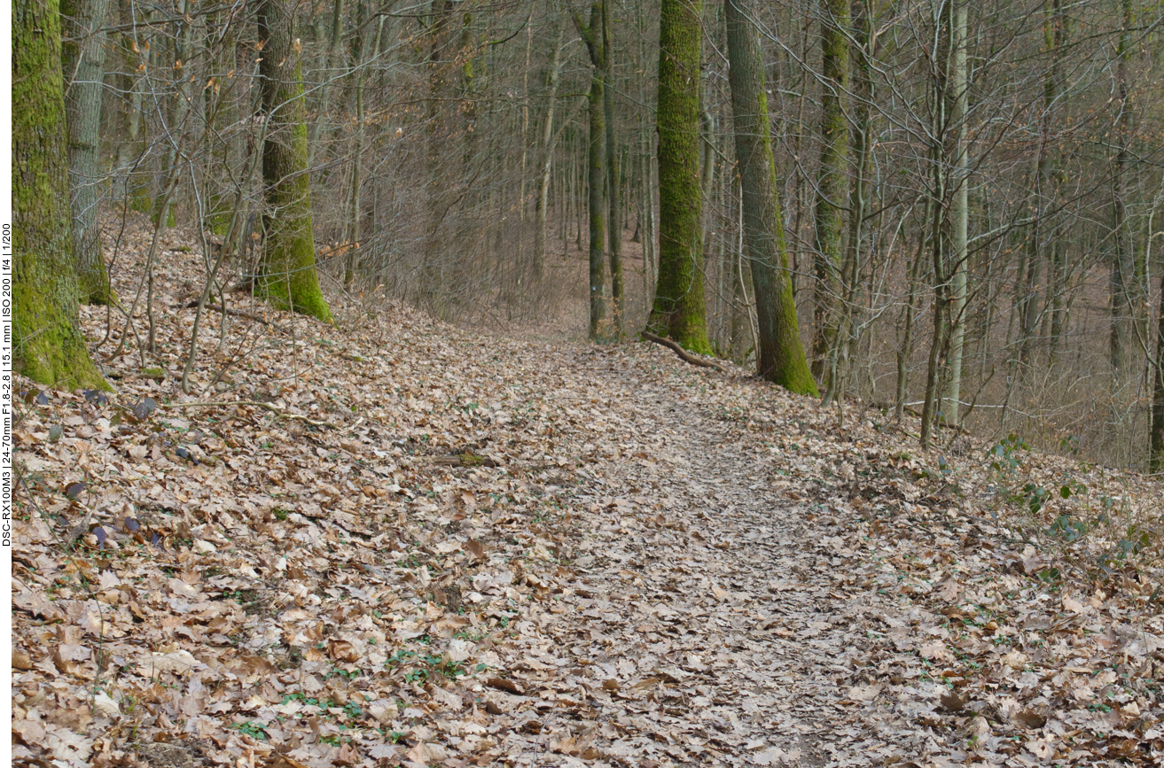 Dort vorne irgendwo ... 