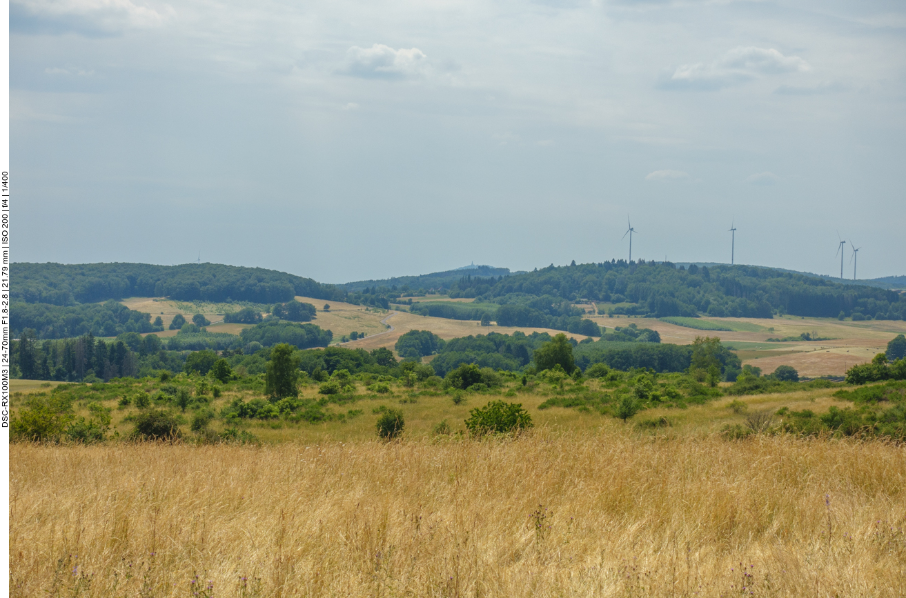 Blick in die Umgebung 2 