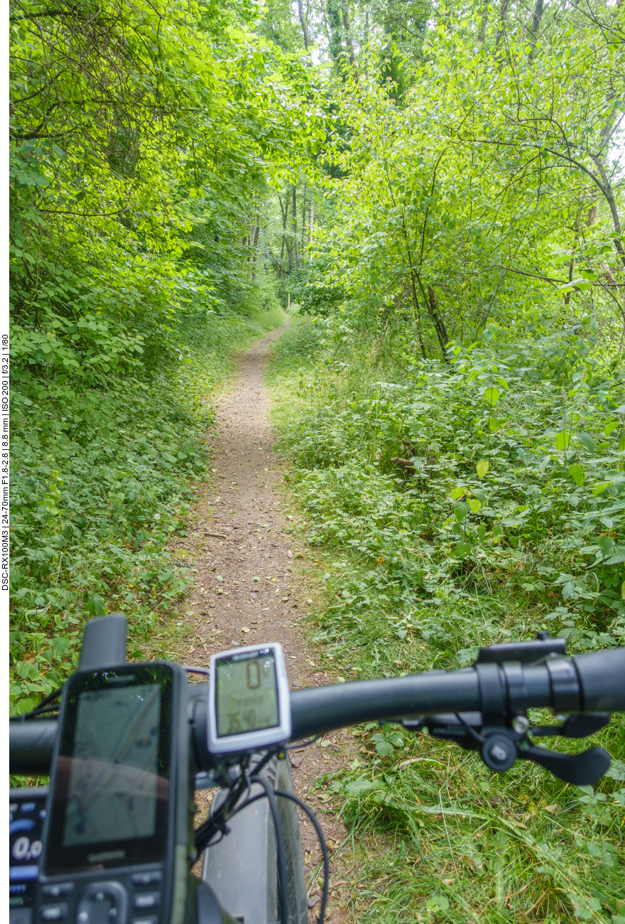 Kurz vor dem Ende geht es nochmal etwas bergab 
