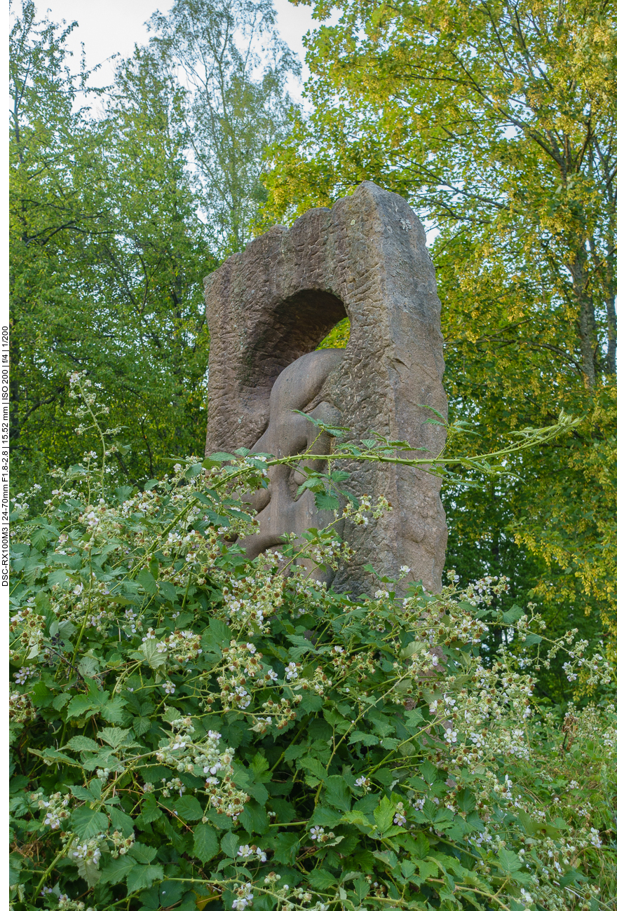 ... ganz sch&ouml;n zugewachsen ... 