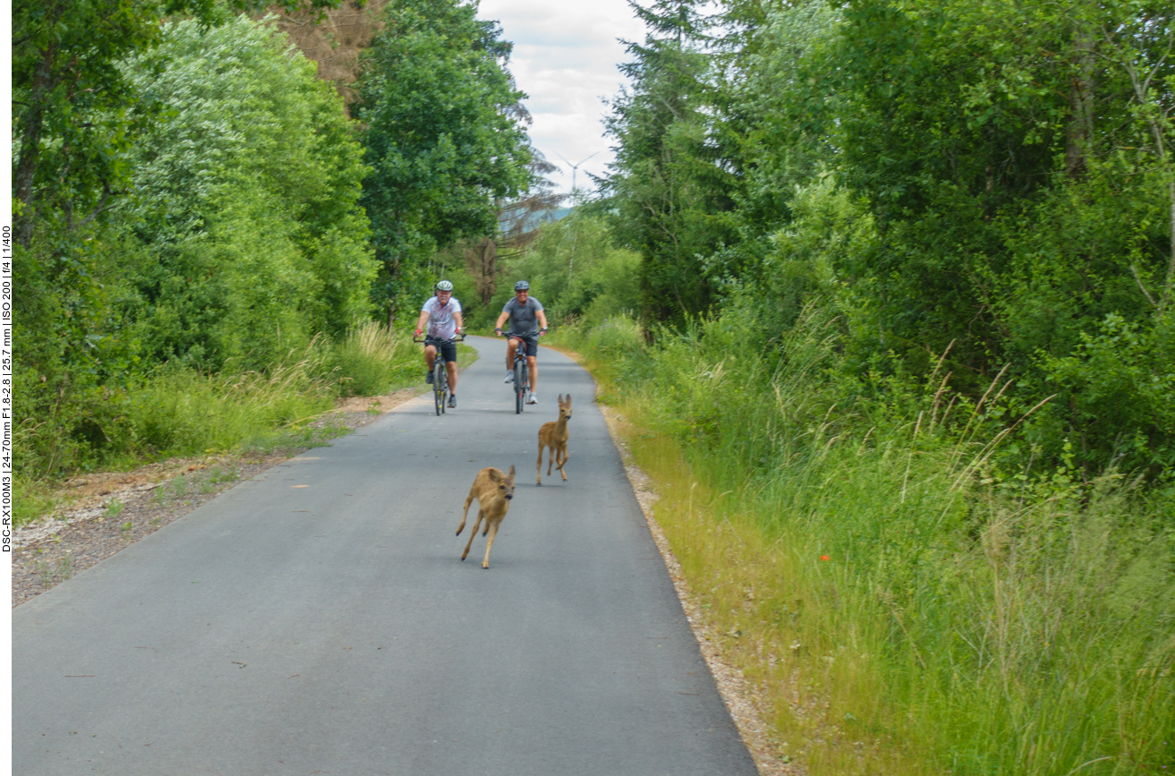 ... von beiden Seiten kamen Radler ... 