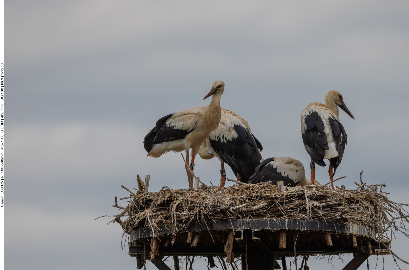 Es wird sich geputzt und gepflegt 