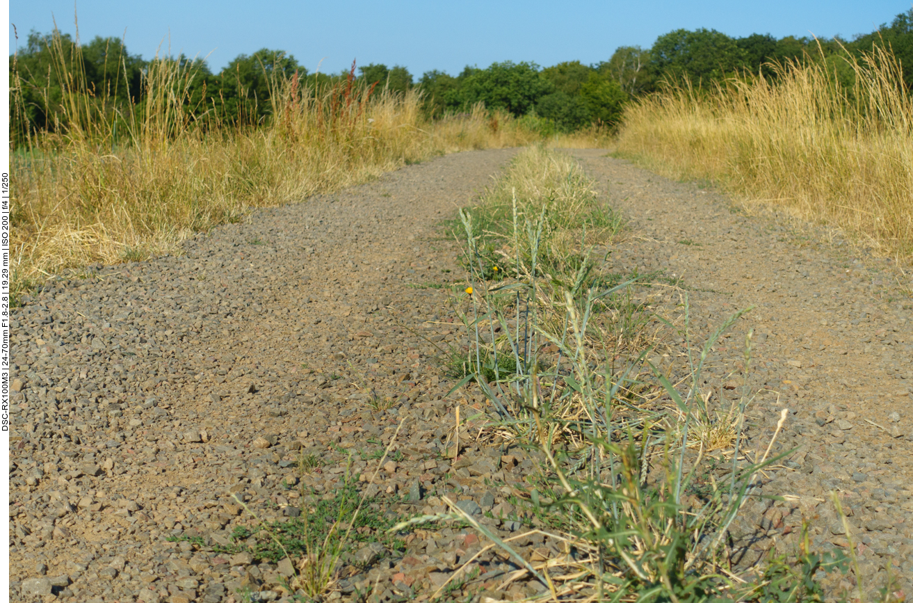 Ein Gro&szlig;teil der Strecke f&uuml;hrt &uuml;ber schottrigen Boden 