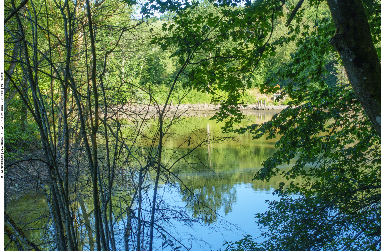 Einer von mehreren Teichen am Weg 