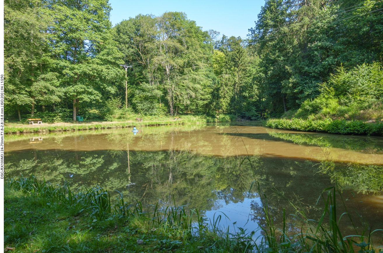 Wieder ein Teich ... 