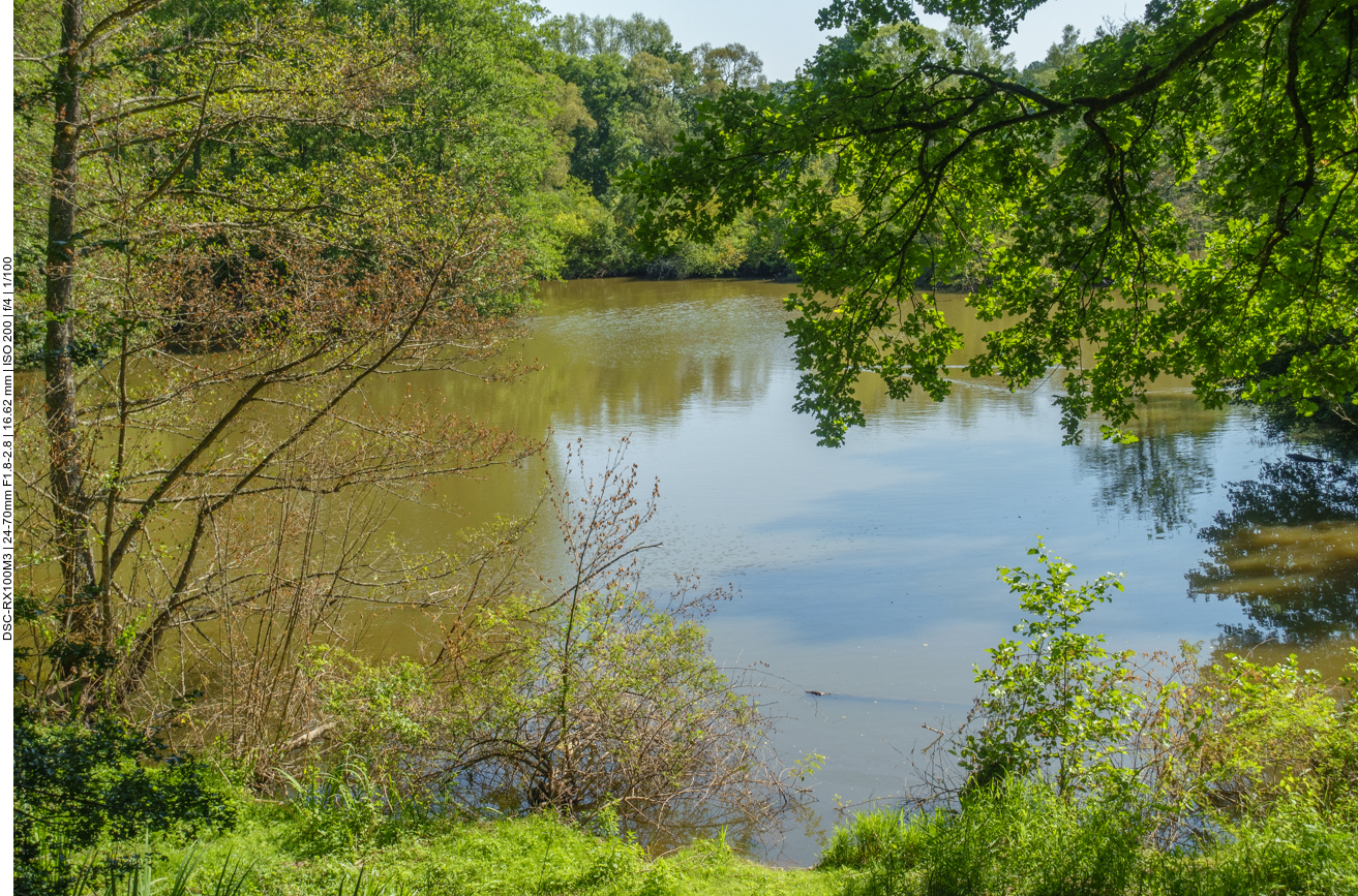 ... und wieder ein Teich ;-) 
