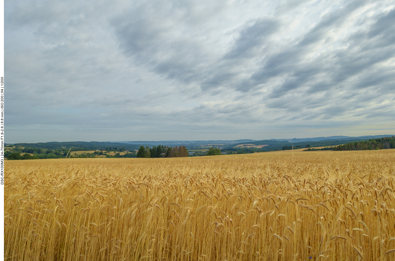 H&uuml;gel und Felder 