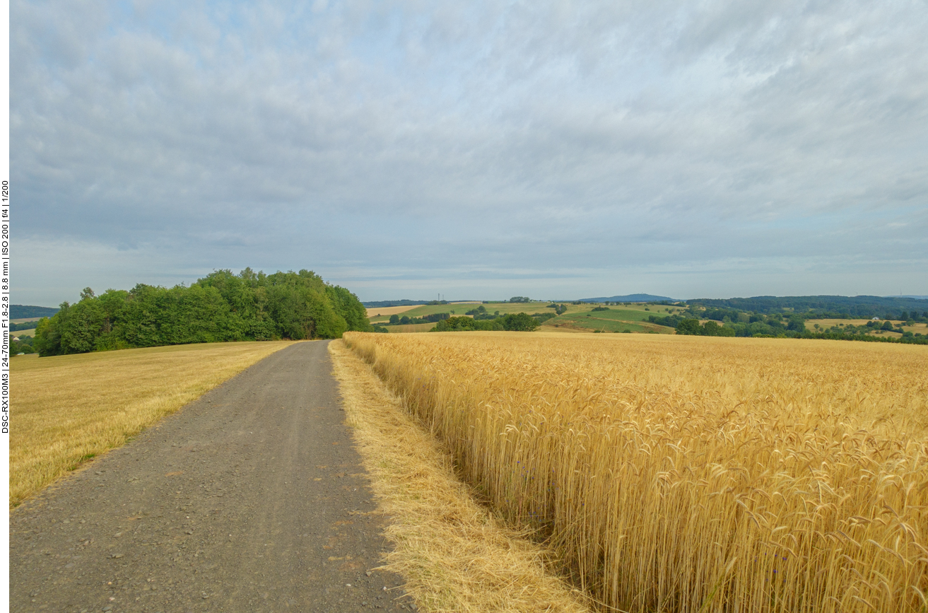 ... und wieder auf der Flur 