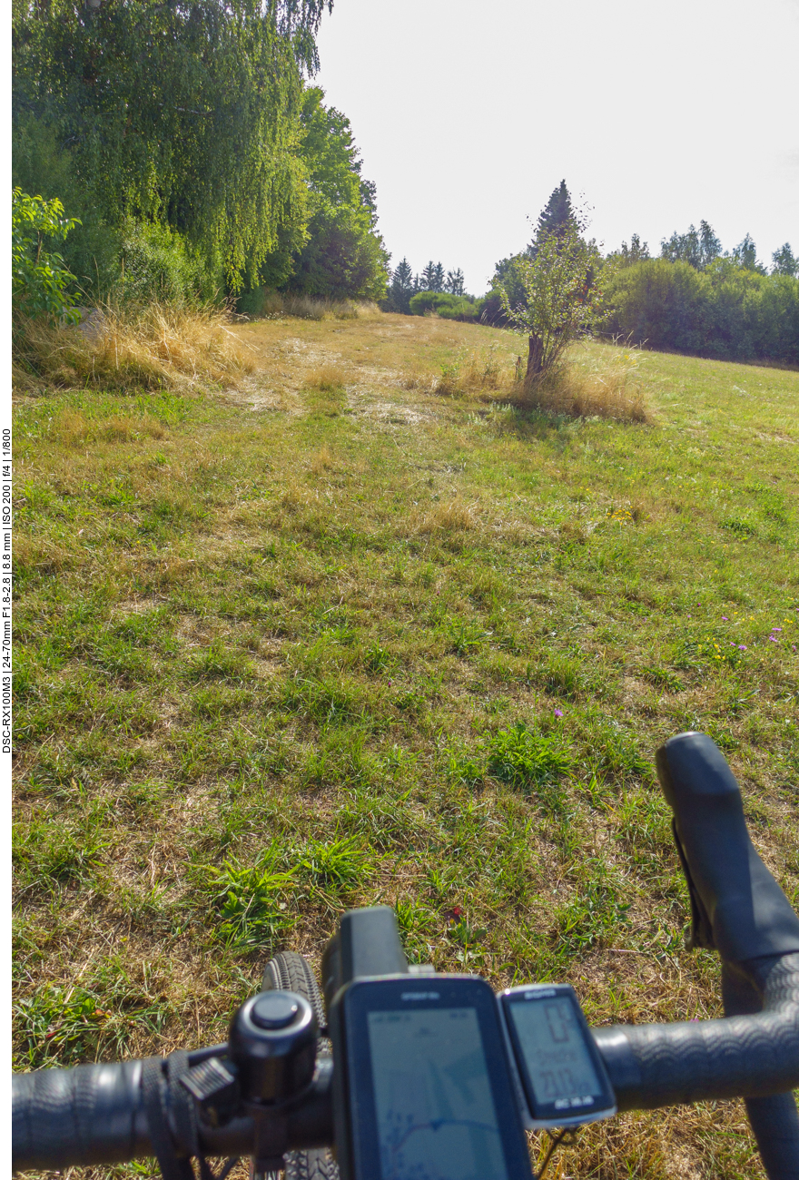 Auf dem Wiesenweg muss ich doch mal schieben, weil das Hinterrad durchdreht :-( 