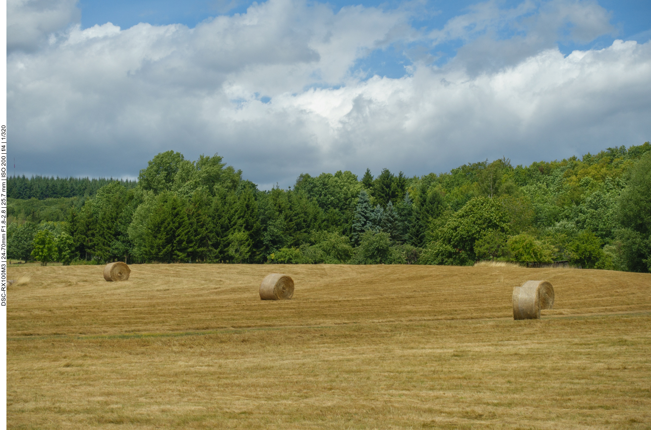 Abgeerntetes Feld bei Nonnweiler ... 