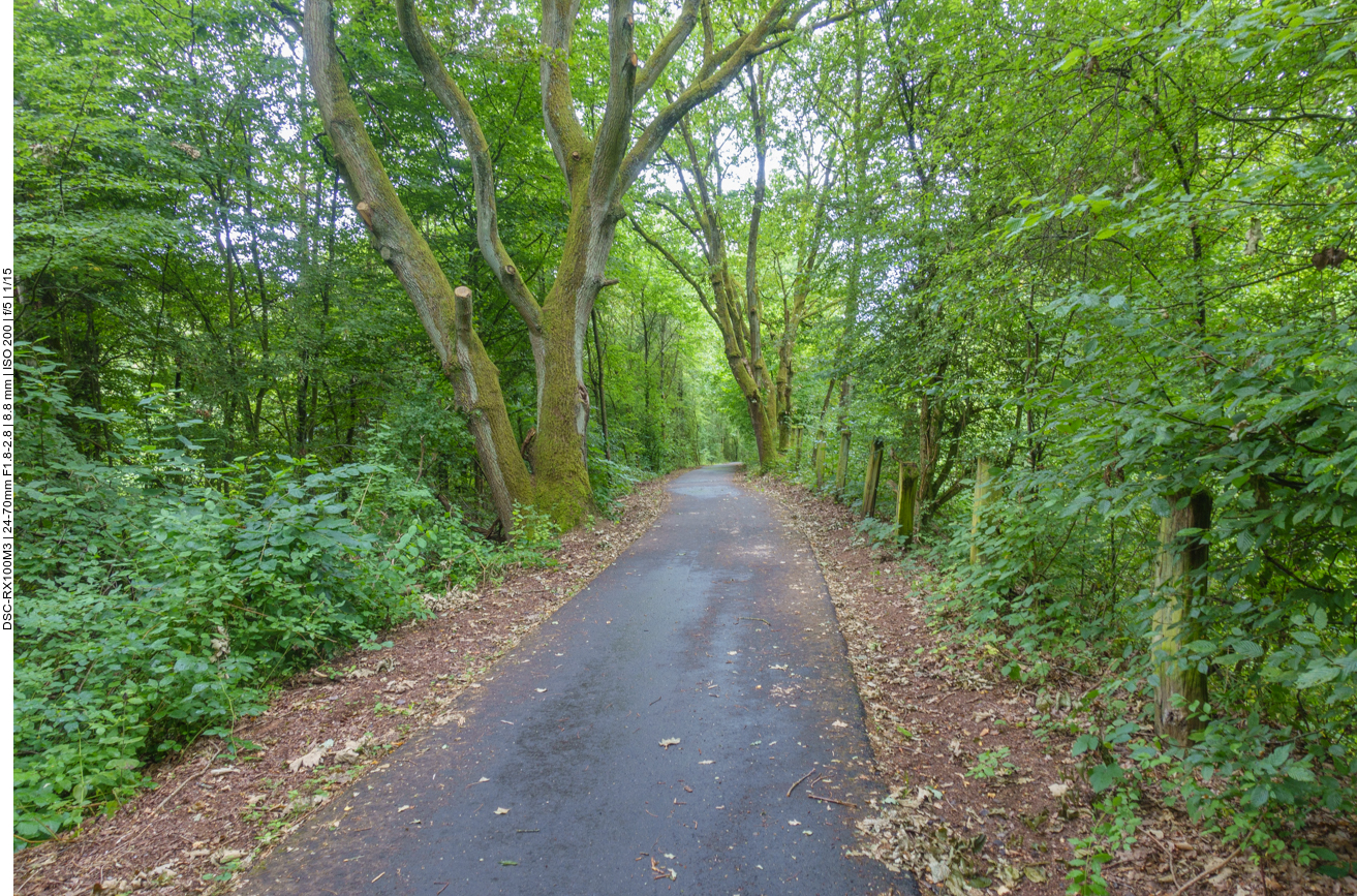 Weiter durch einen Wald 