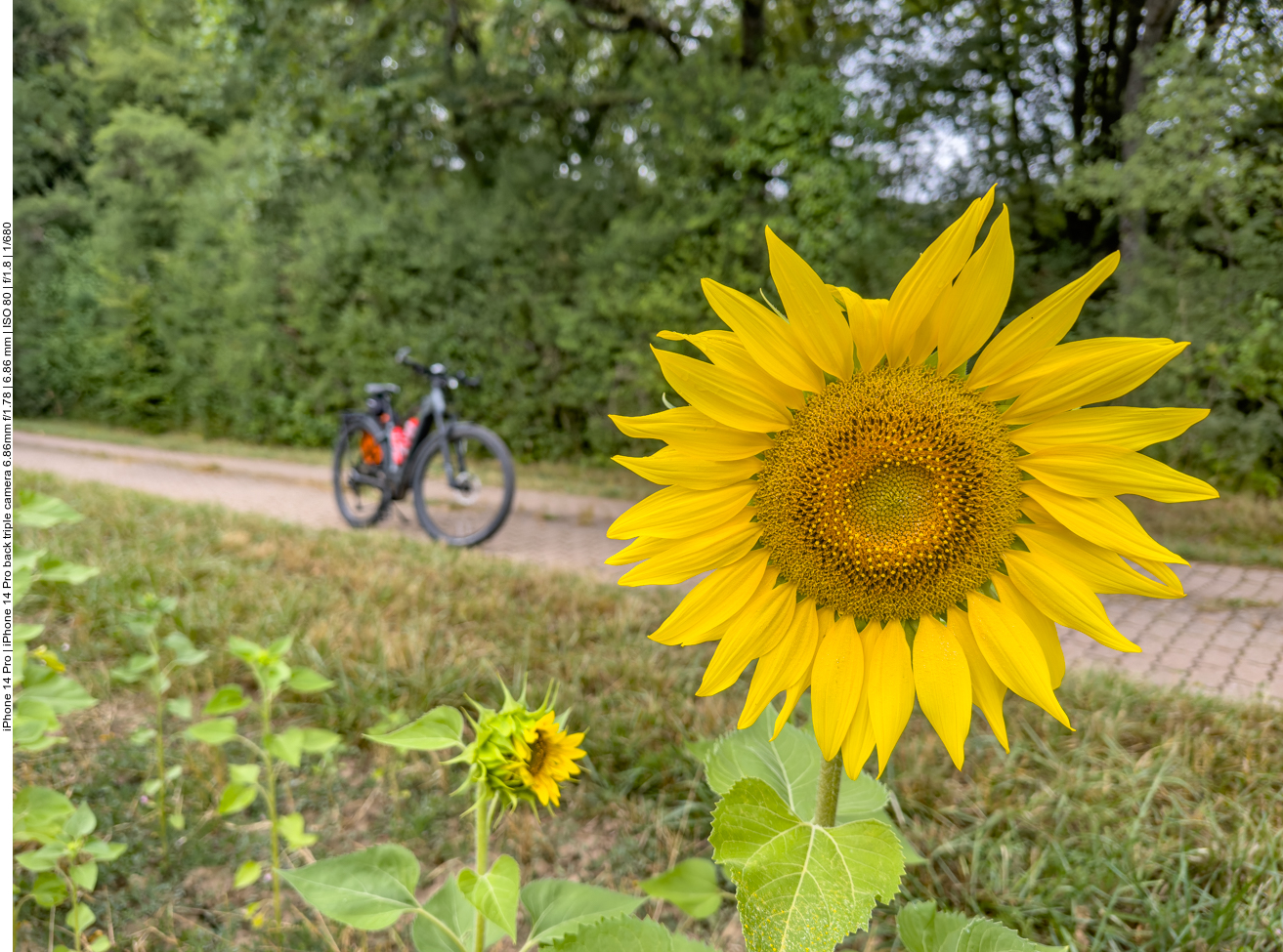 Die Sonne kommt (leider nicht wirklich) raus 