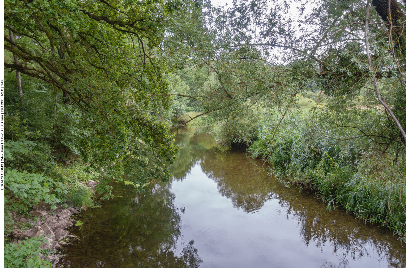 ... f&uuml;hrt zum Nied-Altarm 