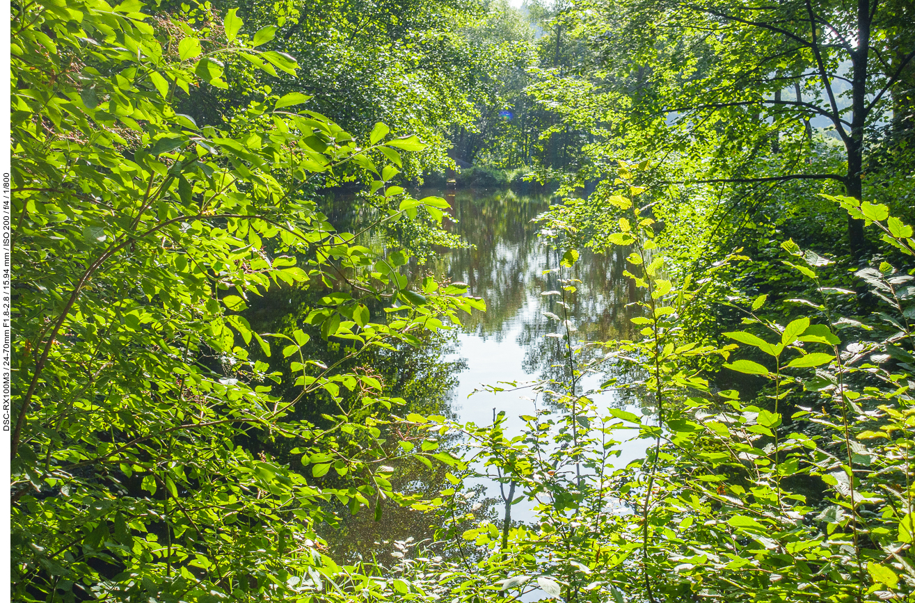 Am Biers Weiher