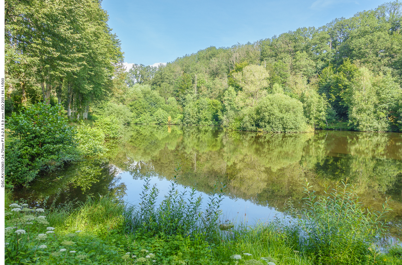 Weiher eines Angelsportvereins