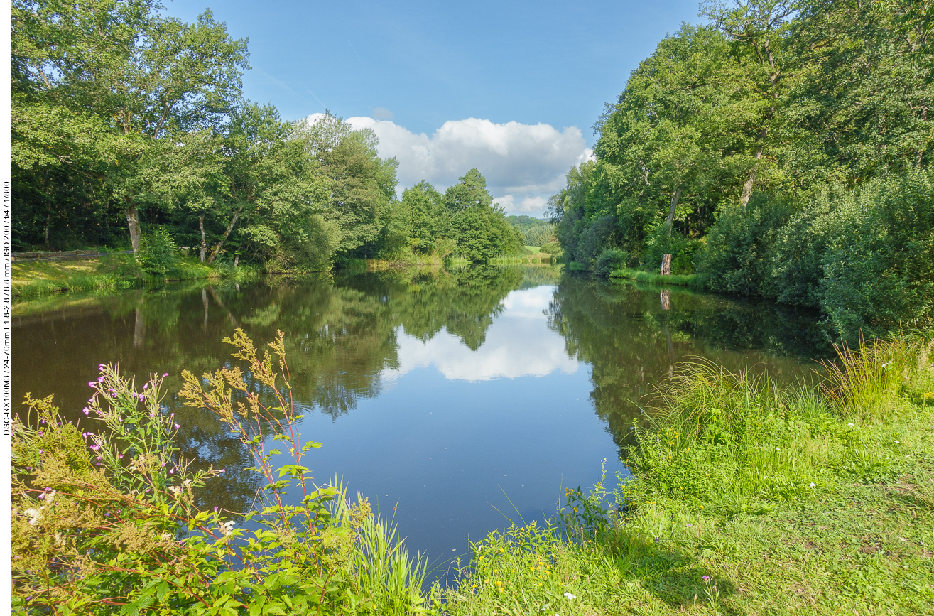 Fischweiher