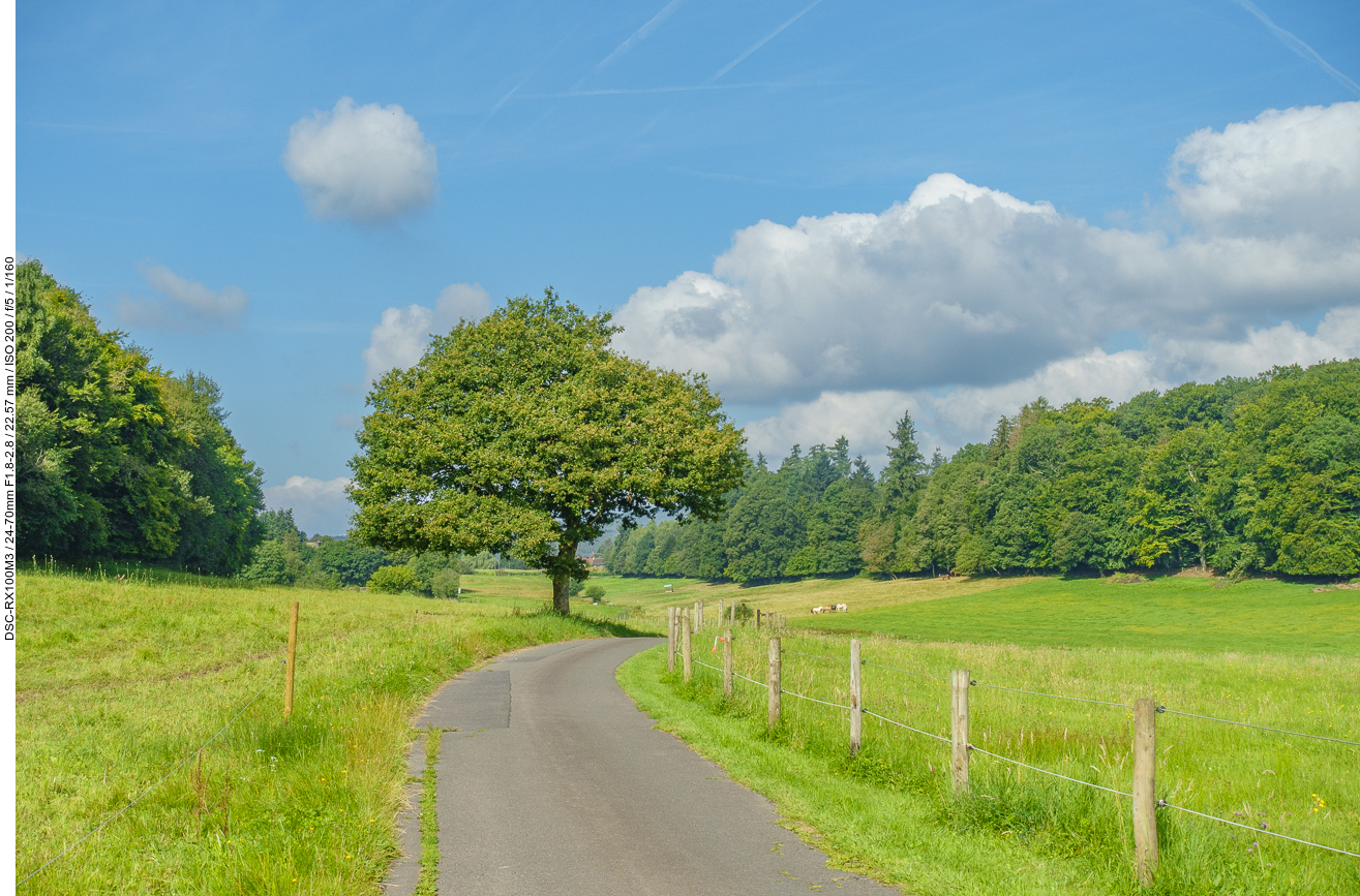 Schöne Landschaft