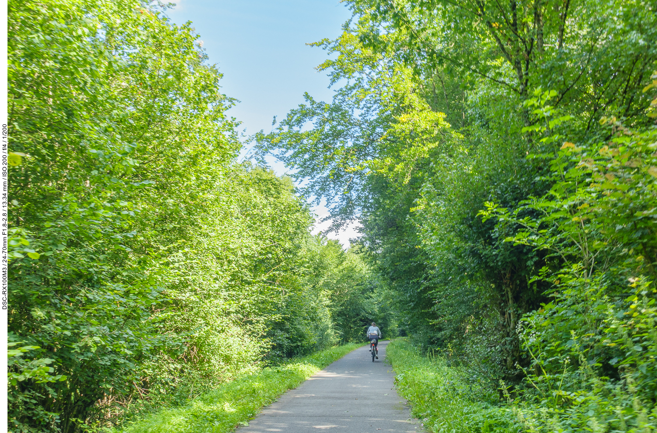 Wieder kurz vor Birkenfeld, das könnte eine ehemalige Bahnstrecke sein