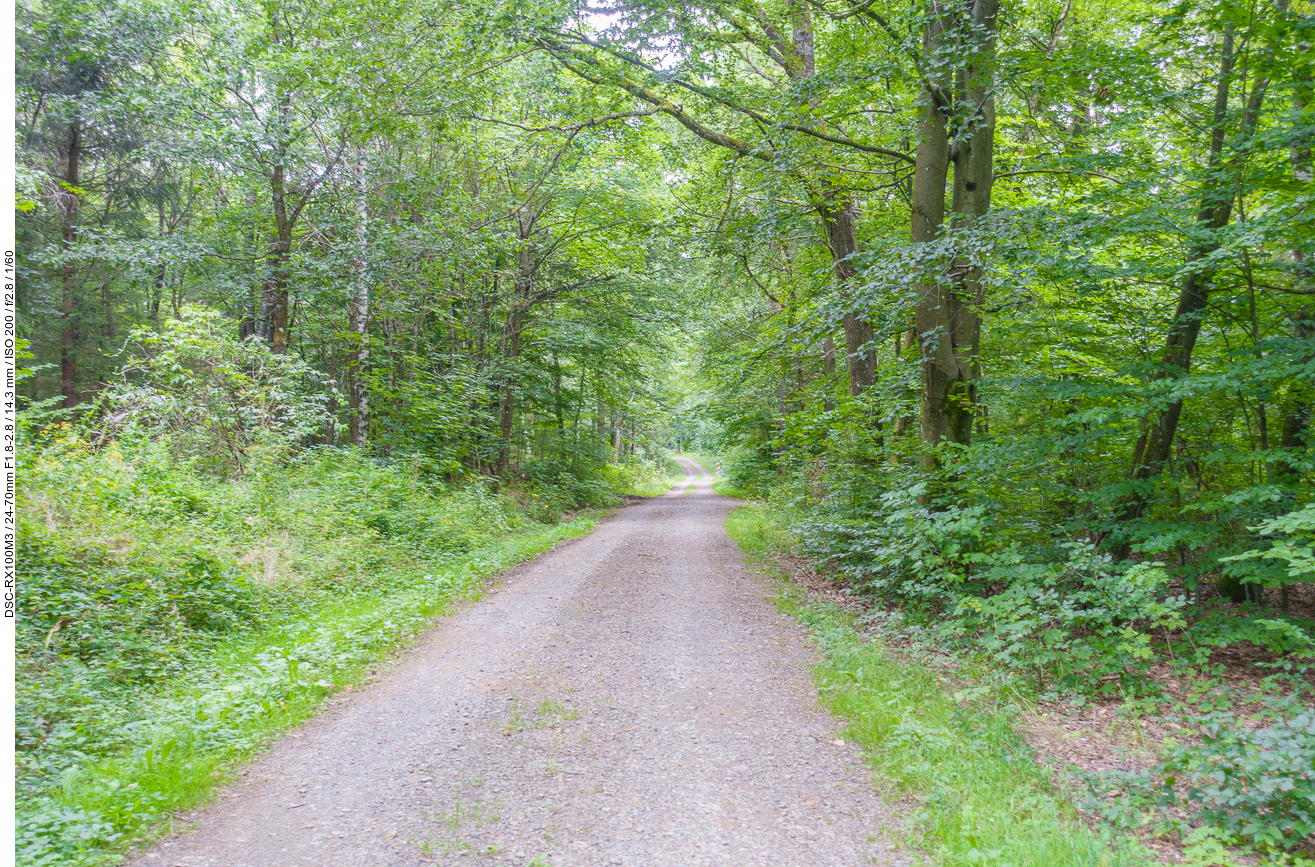 Geschotterte Waldautobahn