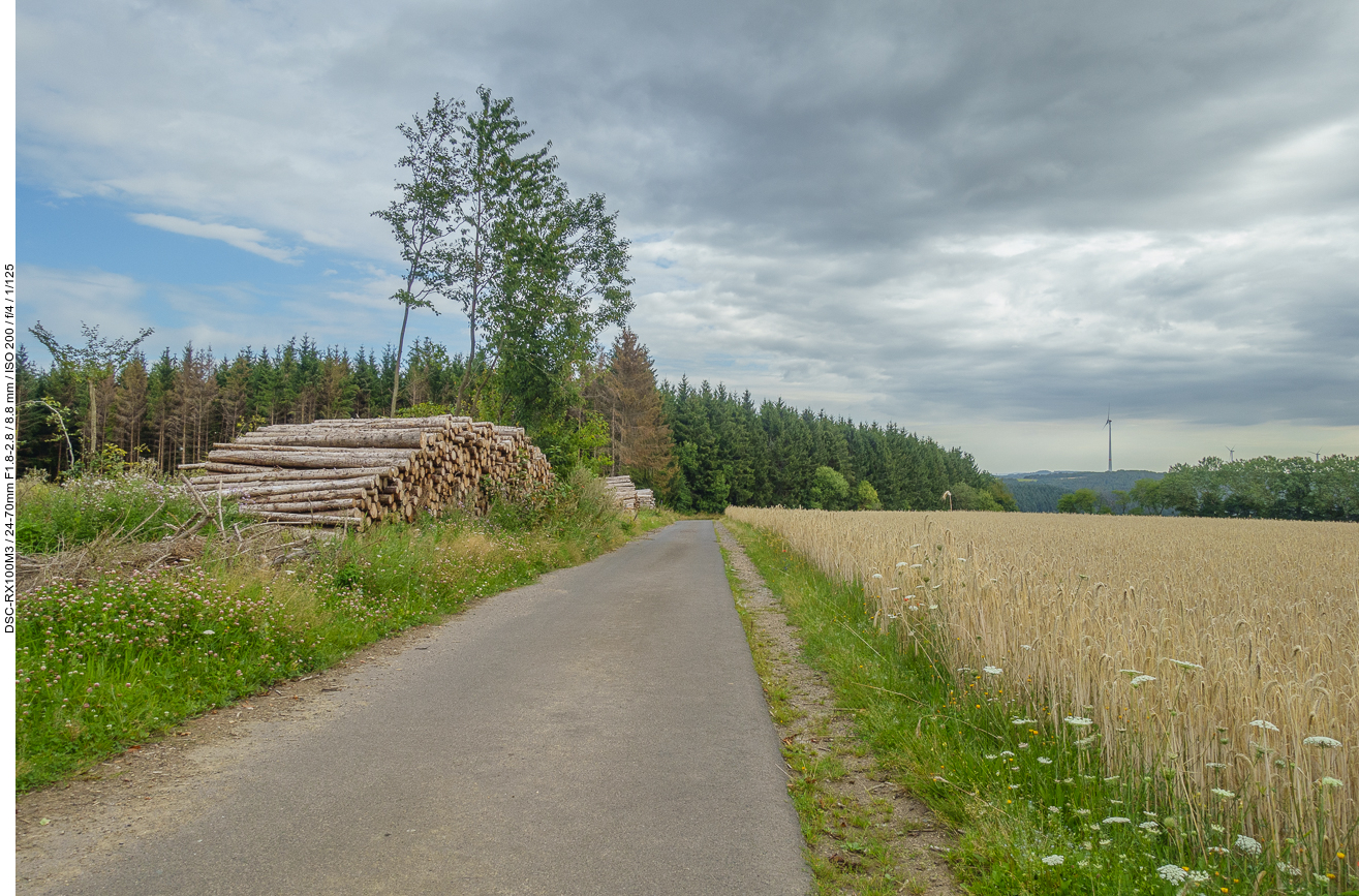 Endlich wieder abseits der Stra&szlig;e