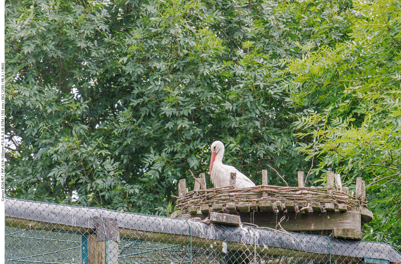 ... und auch einer der Hauptakteure ;-)