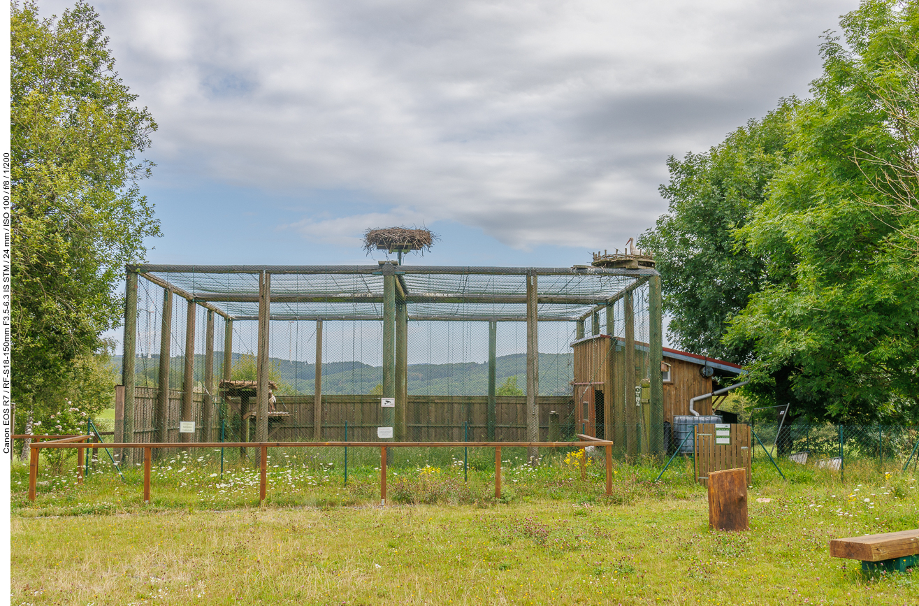 Und da ist schon die Voliere ...