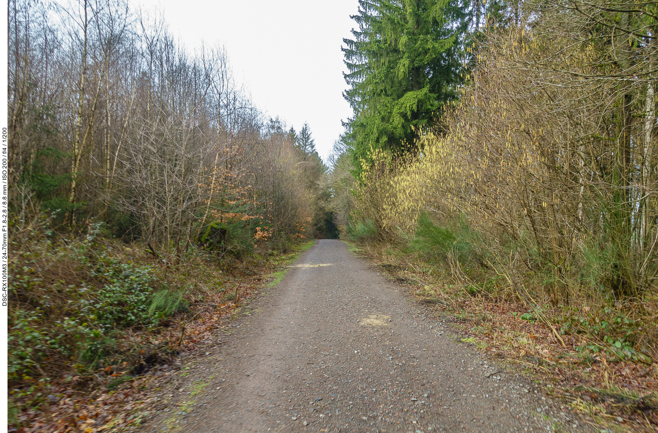 Der Weg kurz vor der Heimat ist etwas trockener ...