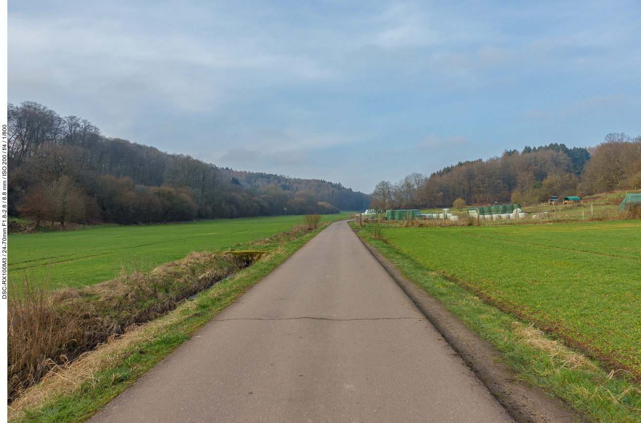 Kurz nach dem Start geht es auf einem Feldweg leicht bergauf