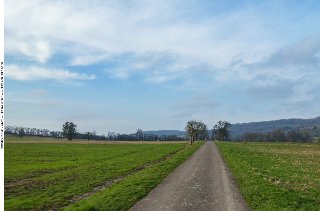 Einsamer Feldweg 2