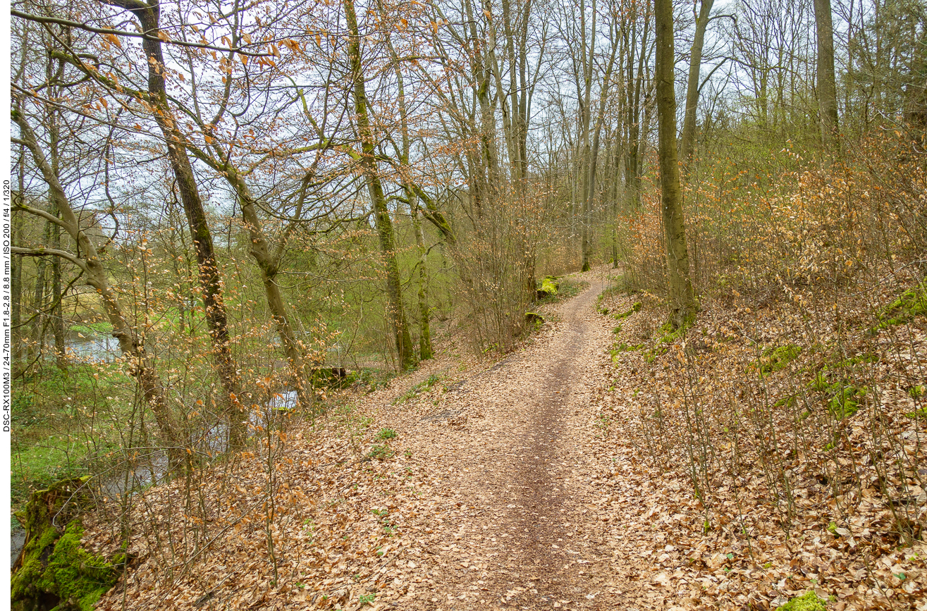 Ein viel zu kurzes Stück Single Trail