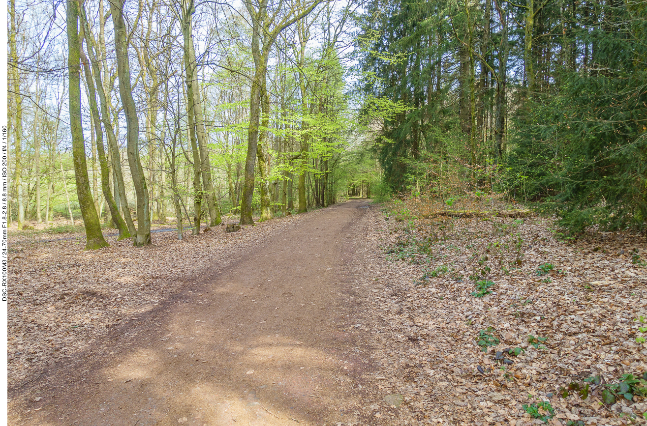 In Stennweiler geht es gleich in den Wald