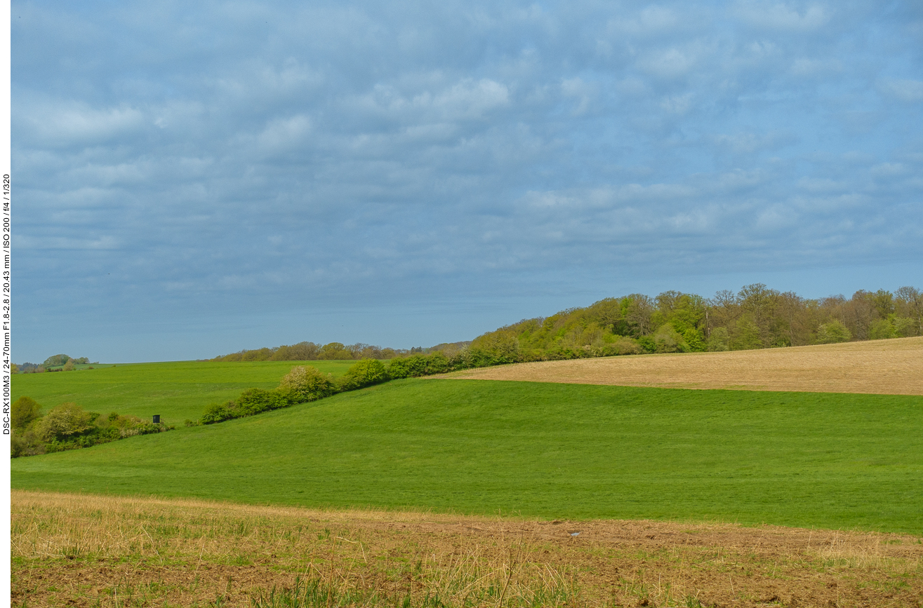 Frühjahrs-Landschaft