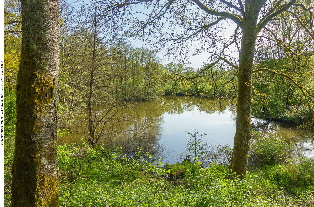 Teich neben dem Oster-Bach