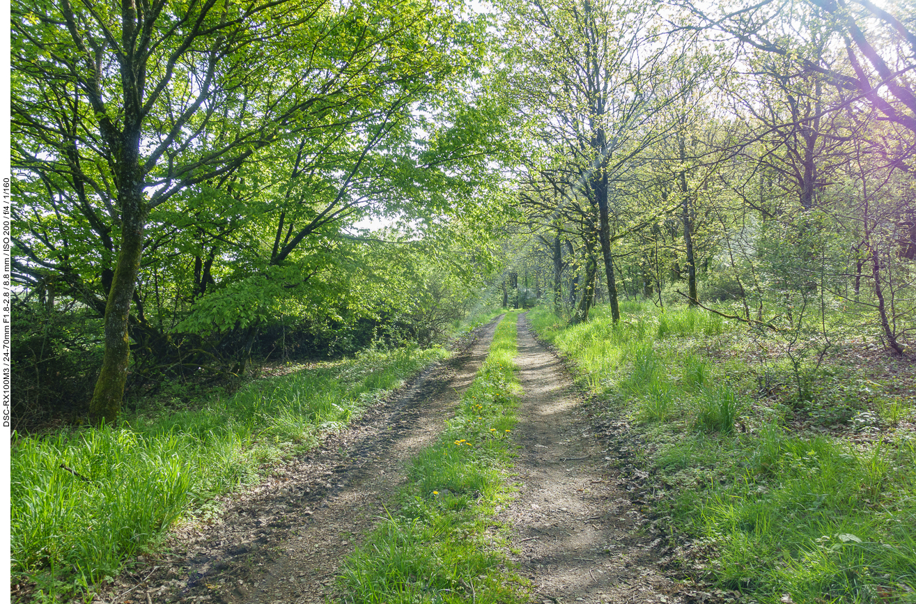 Hier ist der Weg noch trocken ...