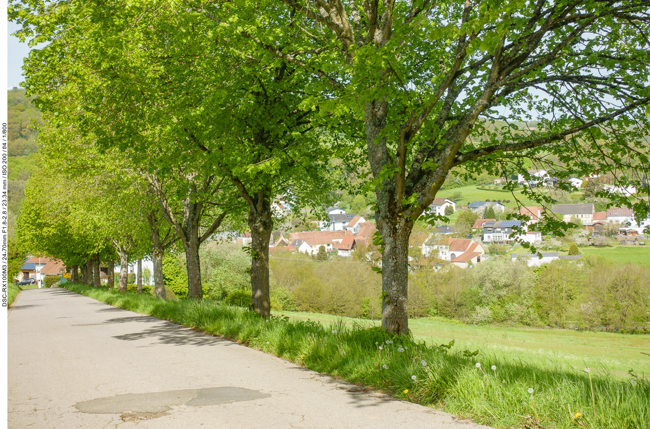 Halbseitige Allee bei der Abfahrt