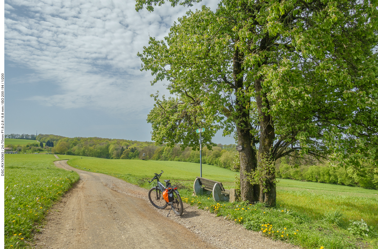 Rast unter einem schattigen Birnbaum