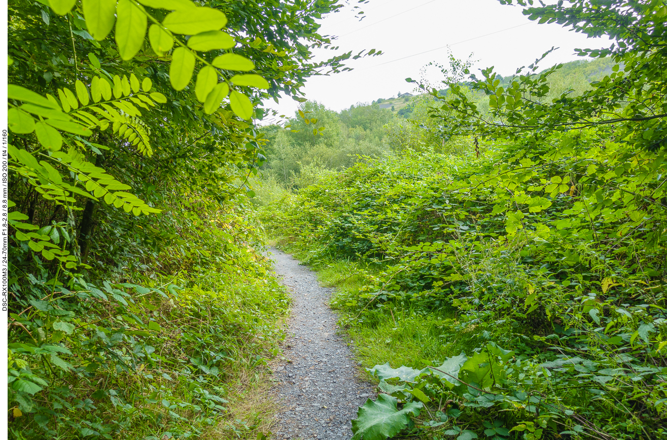 Trail unterhalb der Berghalde