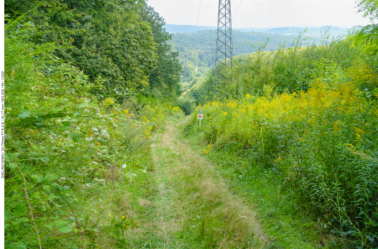 ... breitere Wiesenwege ...