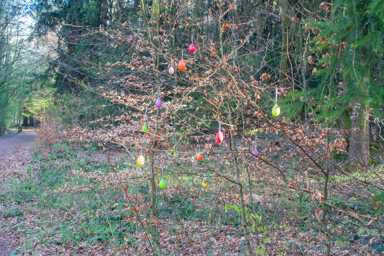 Wenn die Nonnen jauchzen in den Kl&ouml;stern, ist bald &Ouml;stern ;-)