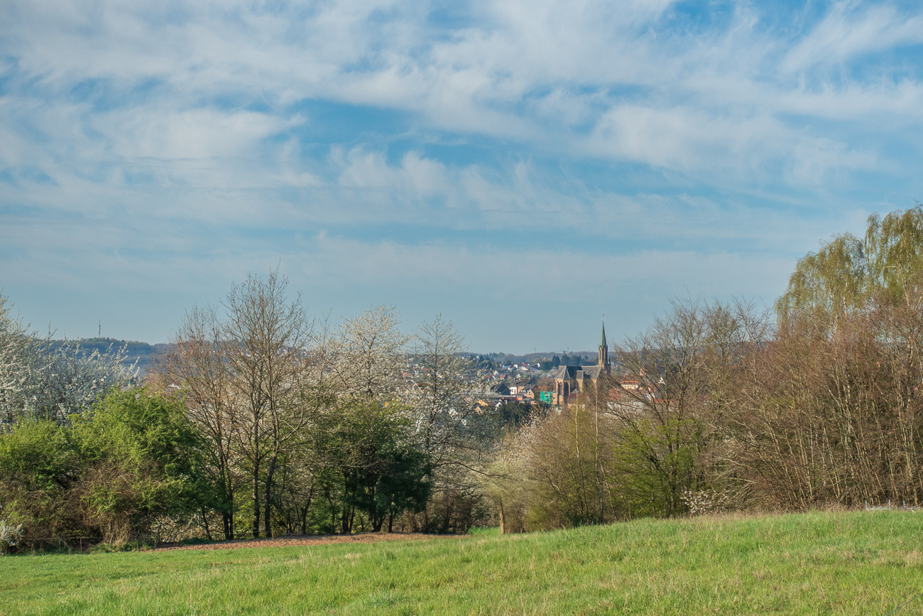 Kirche St. Martin in Schiffweiler