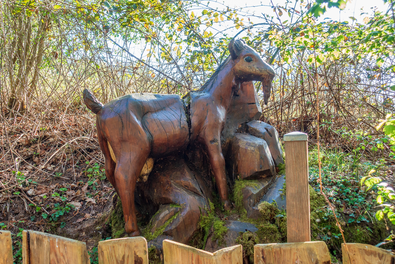 Diese Ziege l&auml;uft nicht so schnell weg ;-)