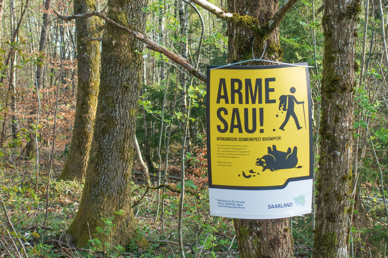 Statt der armen Sau ...