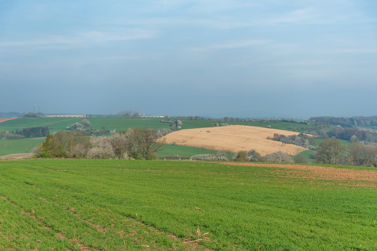 Blick auf den Faulenberg [397 m]