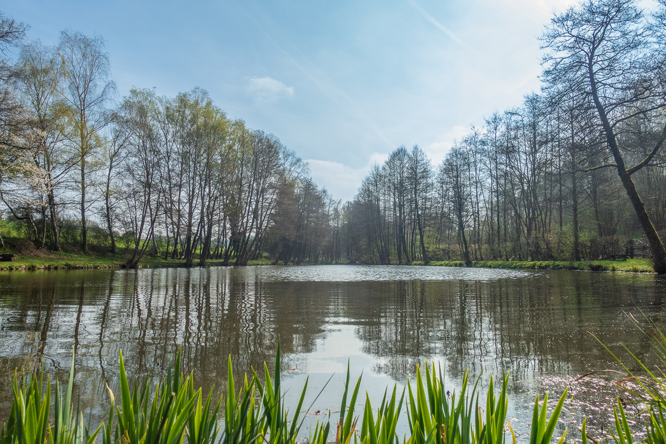 Am Weiher des Angelsportverein Hirzweiler