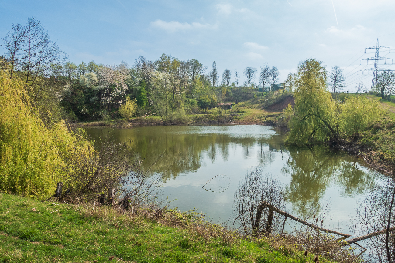... auf die ehemalige Sandgrube am Zeisweiler Hof ...
