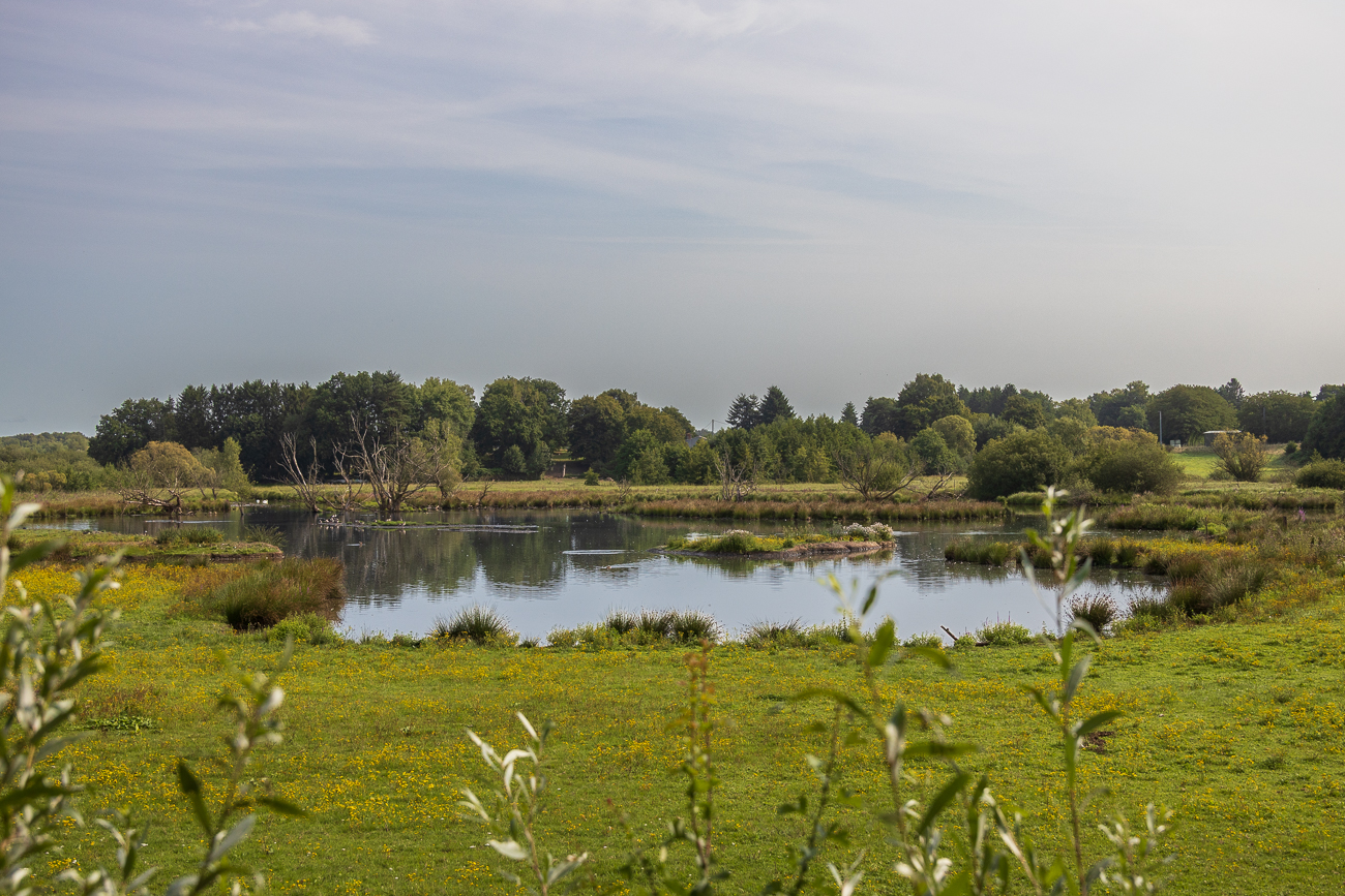 Weiher im Beeder Bruch