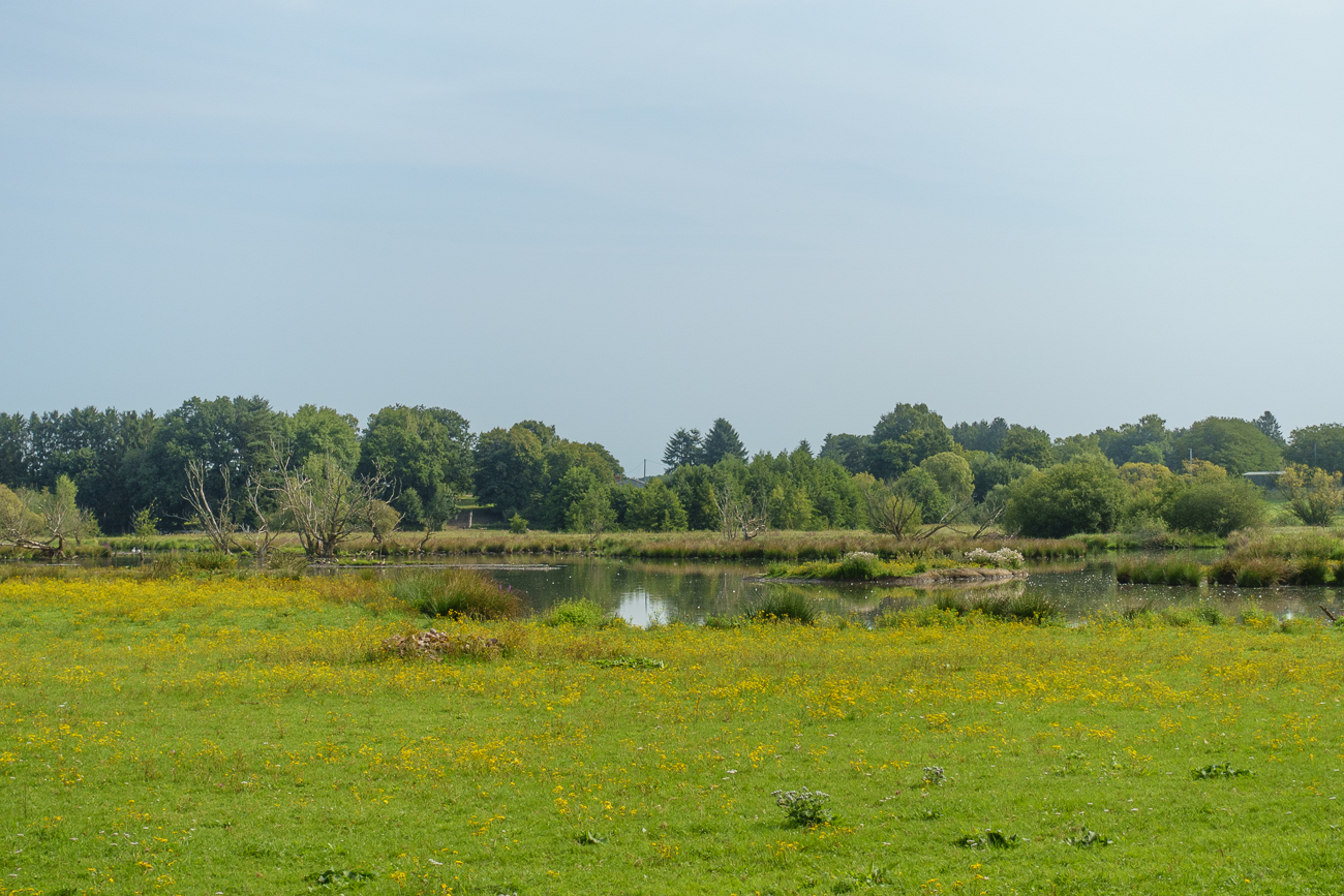 Es sind kaum Wasserv&ouml;gel zu sehen