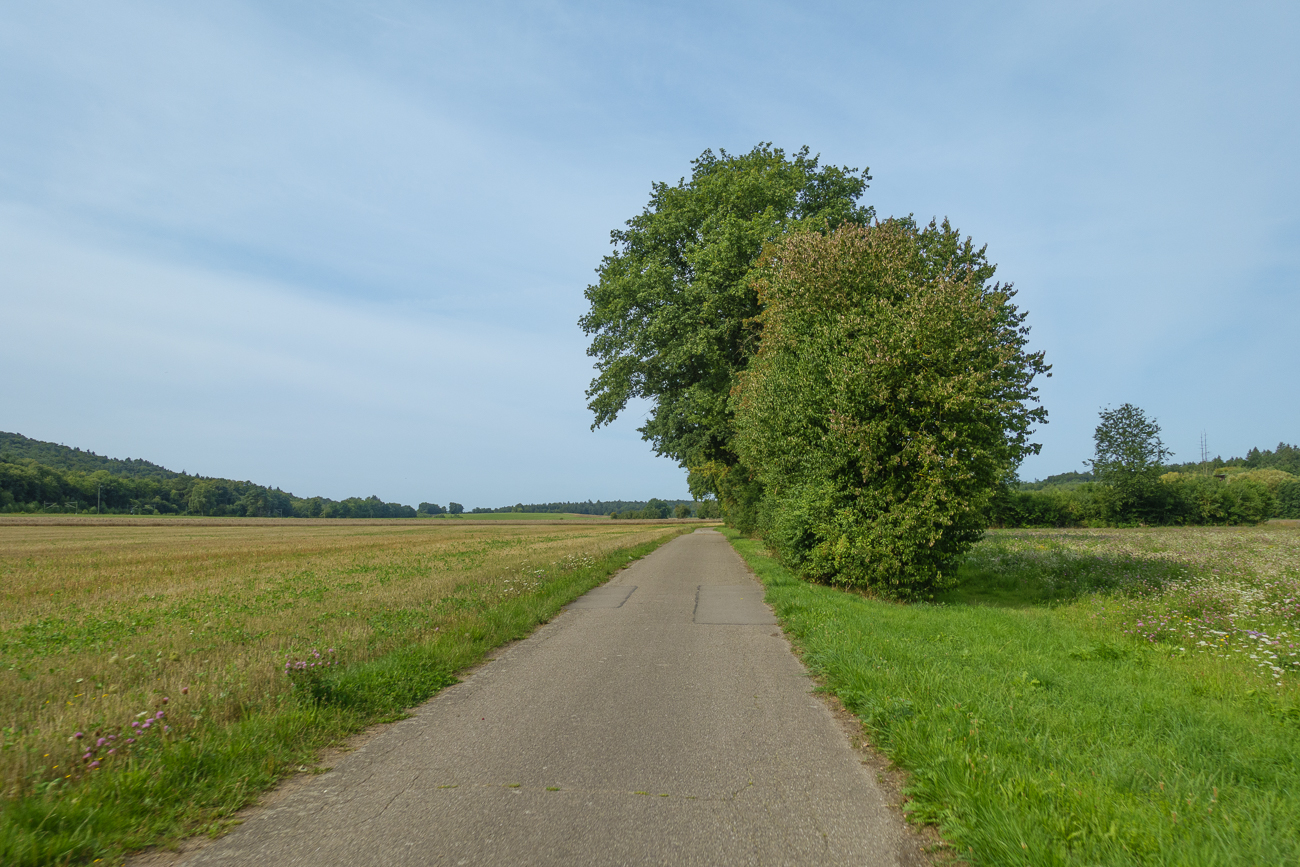 Schöner Weg durch die Ebene