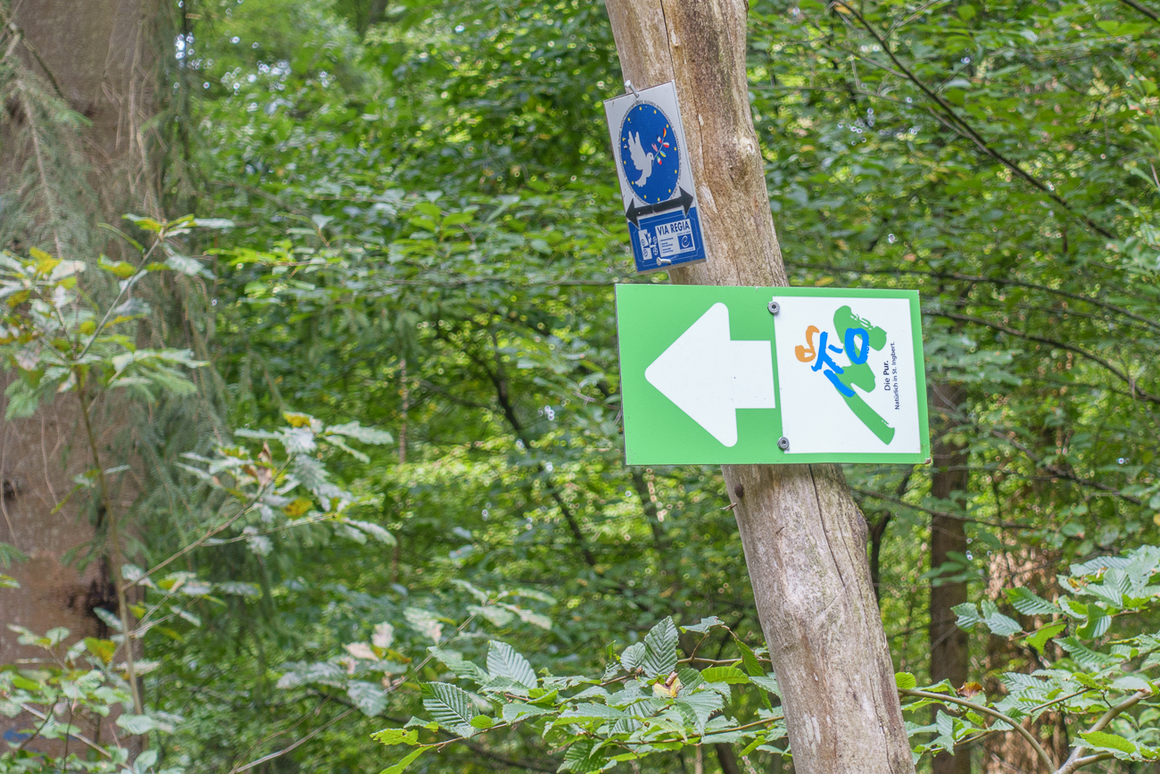 Die "Pur" könnte ich auch mal wieder fahren - wenn ich wieder fit bin ;-)